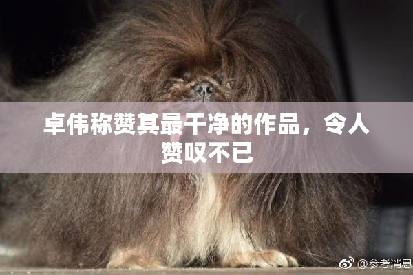 卓伟称赞其最干净的作品，令人赞叹不已