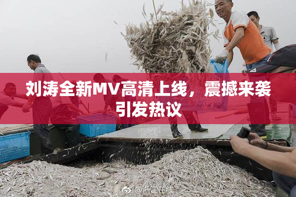 刘涛全新MV高清上线，震撼来袭引发热议