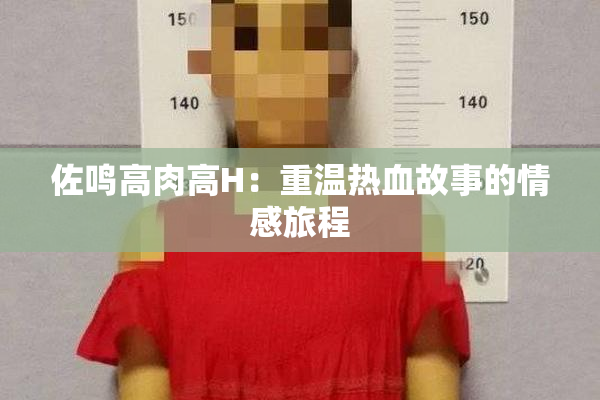 佐鸣高肉高H：重温热血故事的情感旅程