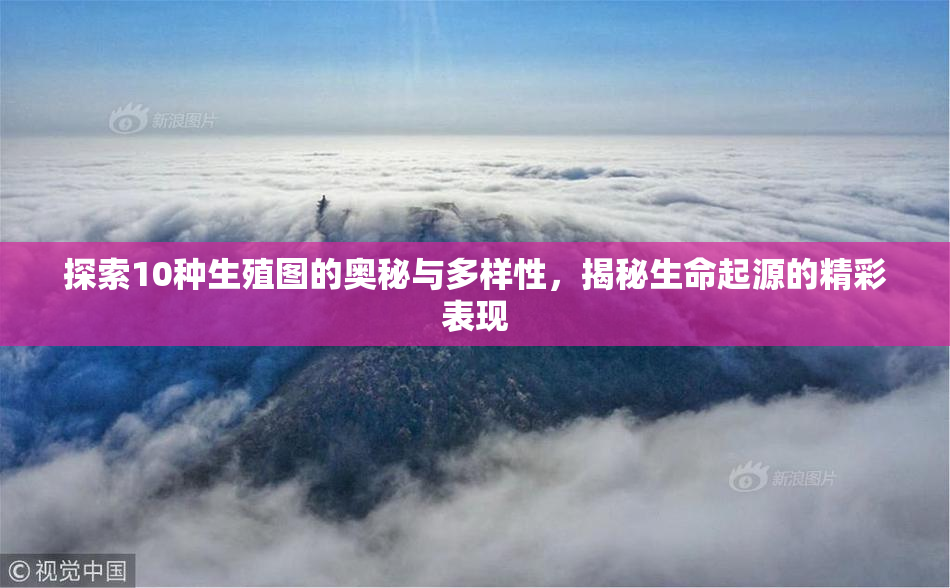 探索10种生殖图的奥秘与多样性，揭秘生命起源的精彩表现