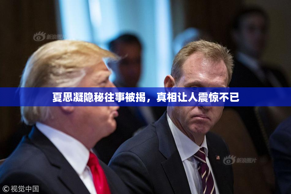 夏思凝隐秘往事被揭，真相让人震惊不已