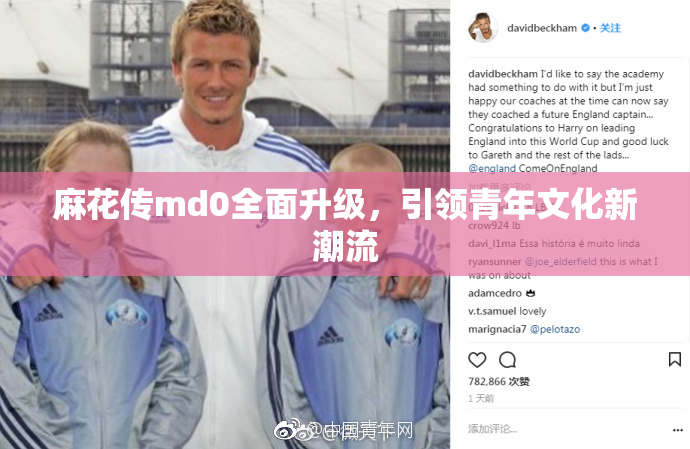 麻花传md0全面升级，引领青年文化新潮流