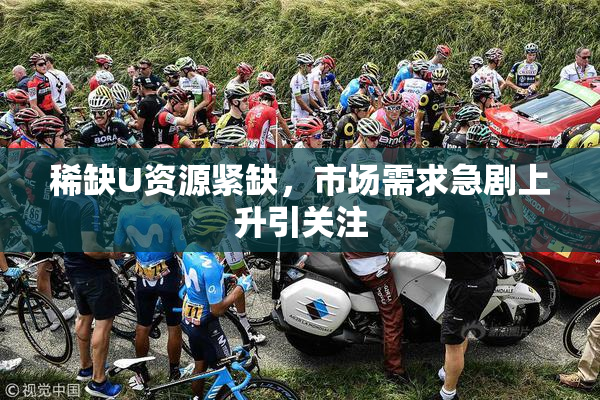 稀缺U资源紧缺，市场需求急剧上升引关注