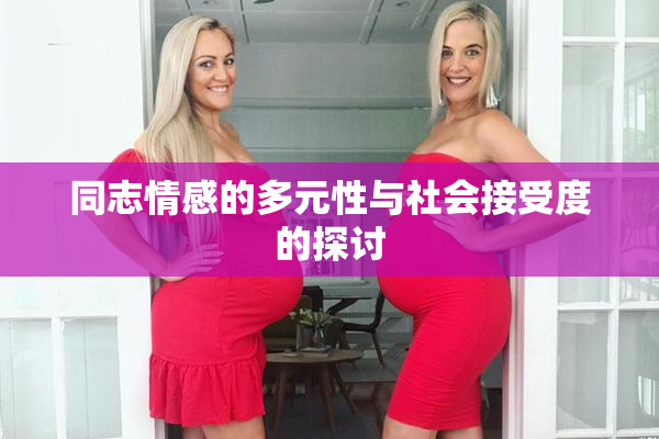 同志情感的多元性与社会接受度的探讨