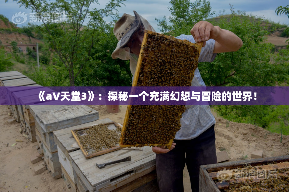 《a∨天堂3》：探秘一个充满幻想与冒险的世界！