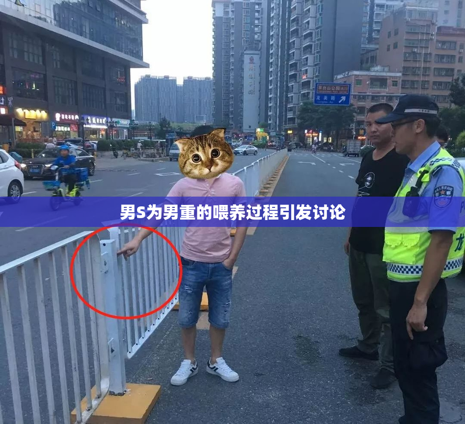 男S为男重的喂养过程引发讨论