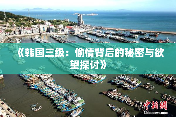 《韩国三级：偷情背后的秘密与欲望探讨》