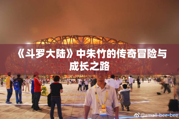 《斗罗大陆》中朱竹的传奇冒险与成长之路