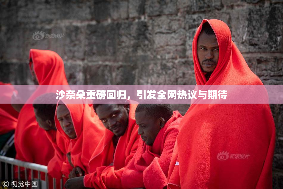 沙奈朵重磅回归，引发全网热议与期待