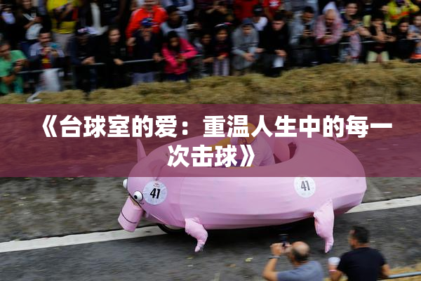 《台球室的爱：重温人生中的每一次击球》