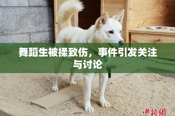 舞蹈生被揉致伤，事件引发关注与讨论