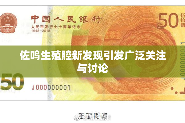 佐鸣生殖腔新发现引发广泛关注与讨论