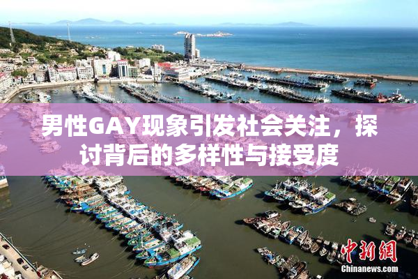 男性GAY现象引发社会关注，探讨背后的多样性与接受度