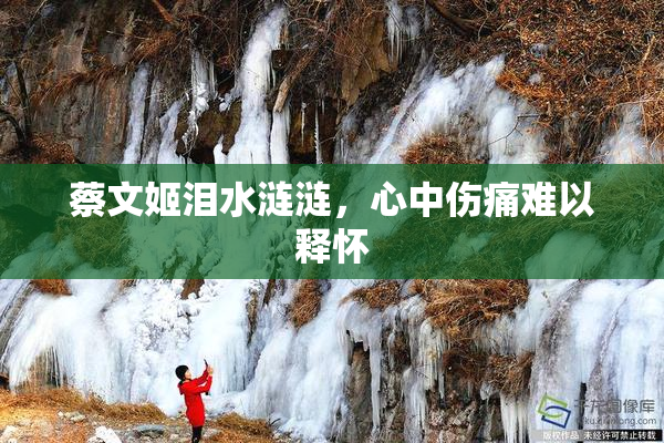 蔡文姬泪水涟涟，心中伤痛难以释怀
