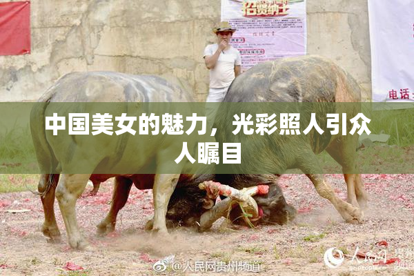 中国美女的魅力，光彩照人引众人瞩目