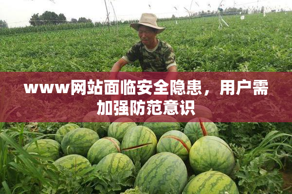 www网站面临安全隐患，用户需加强防范意识