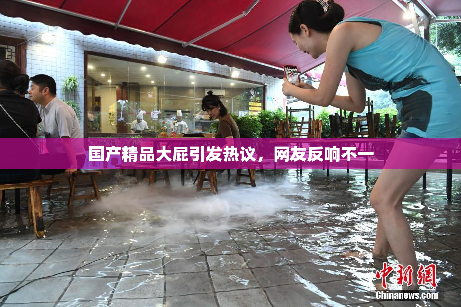 国产精品大屁引发热议，网友反响不一