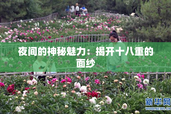 夜间的神秘魅力：揭开十八重的面纱