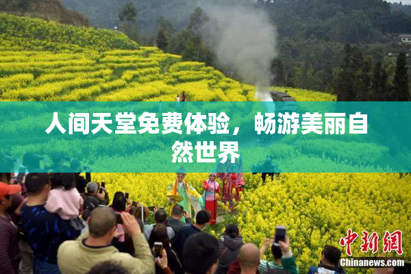 人间天堂免费体验，畅游美丽自然世界