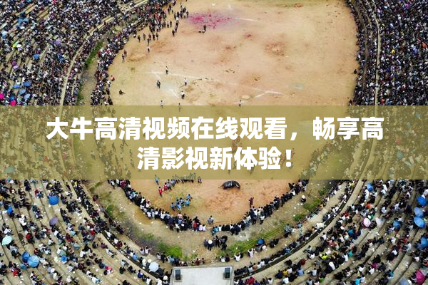 大牛高清视频在线观看，畅享高清影视新体验！