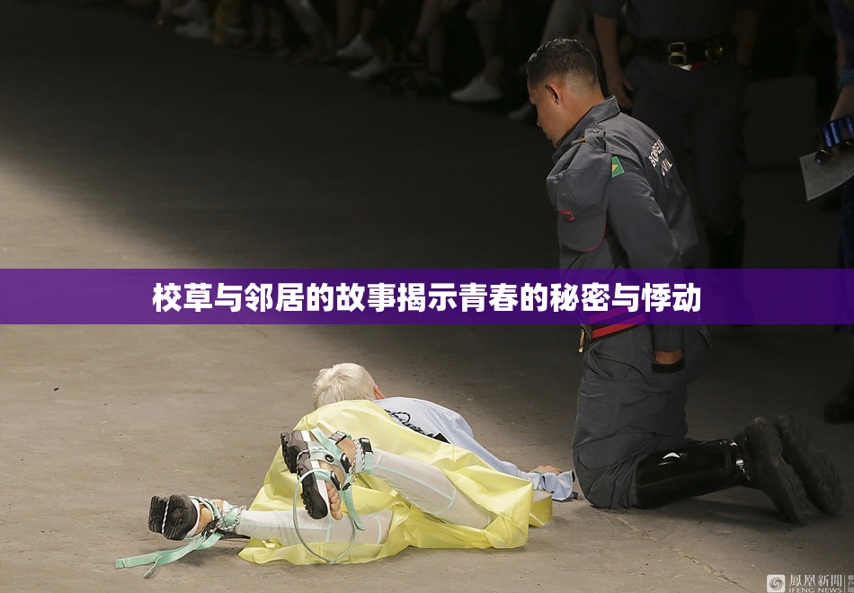 校草与邻居的故事揭示青春的秘密与悸动