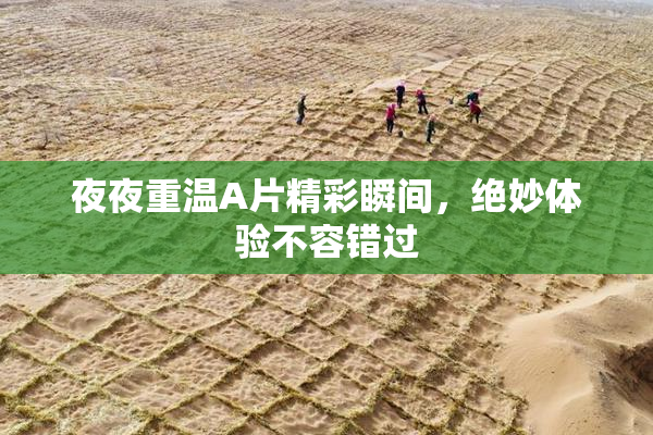 夜夜重温A片精彩瞬间，绝妙体验不容错过