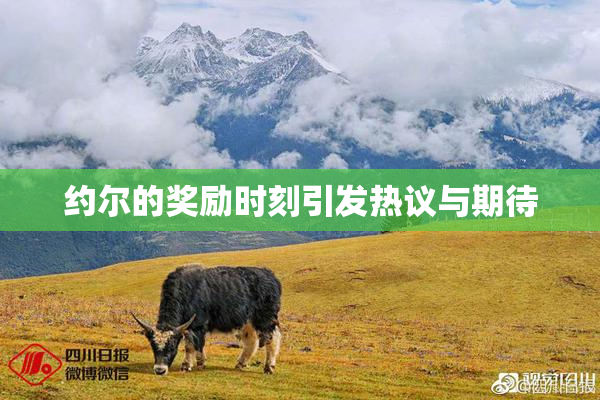 约尔的奖励时刻引发热议与期待