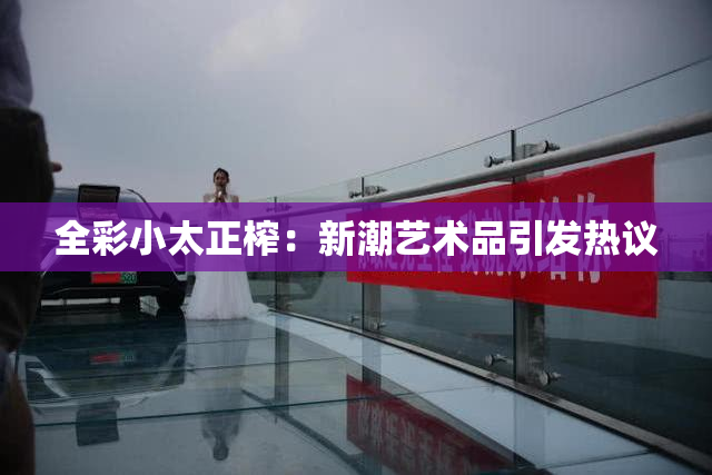 全彩小太正榨：新潮艺术品引发热议