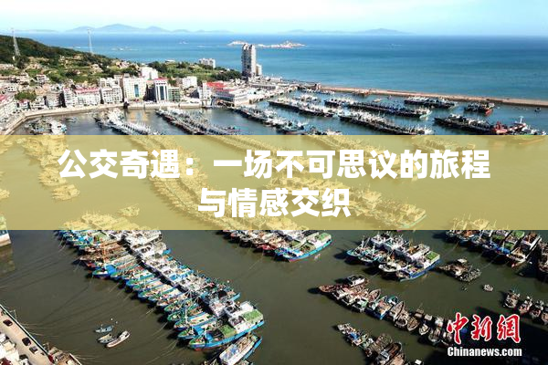 公交奇遇：一场不可思议的旅程与情感交织