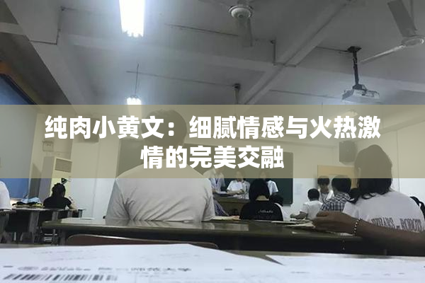纯肉小黄文：细腻情感与火热激情的完美交融