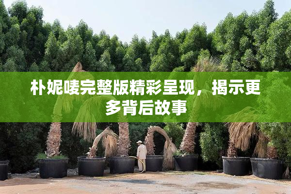 朴妮唛完整版精彩呈现，揭示更多背后故事