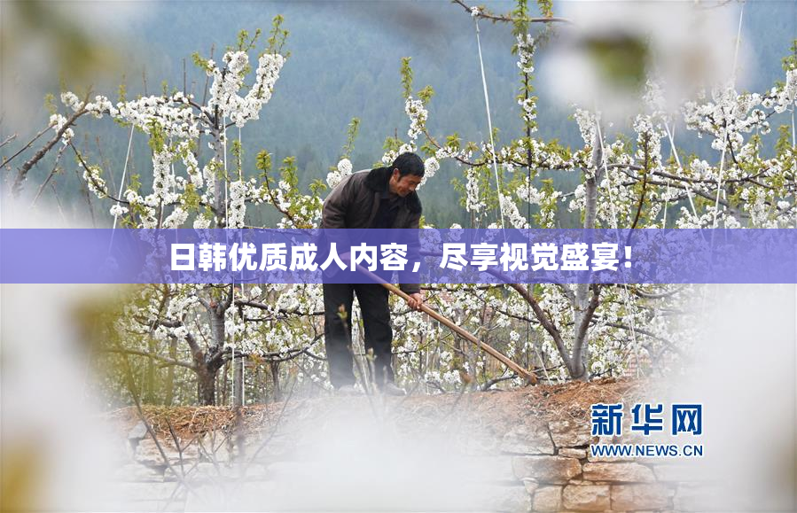 日韩优质成人内容，尽享视觉盛宴！