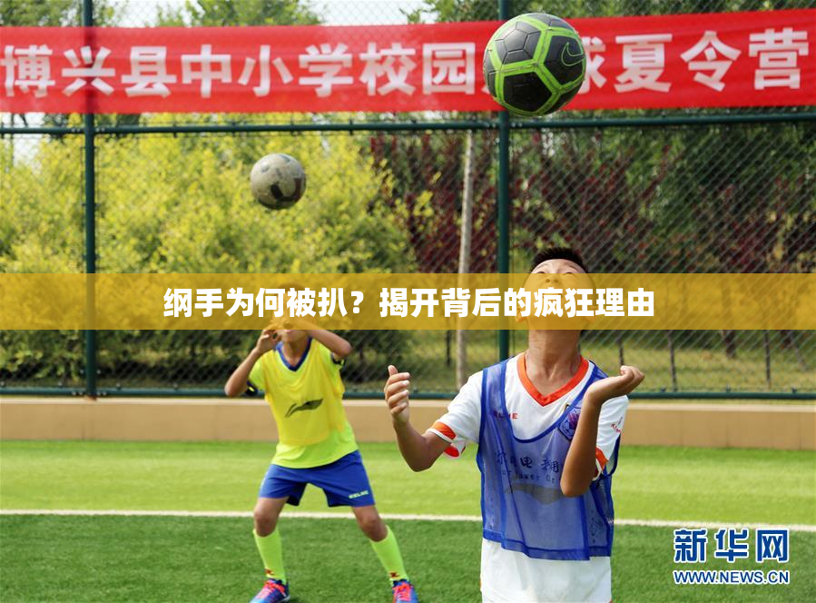 纲手为何被扒？揭开背后的疯狂理由