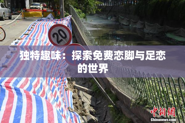 独特趣味：探索免费恋脚与足恋的世界