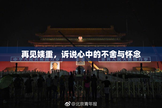 再见姨重，诉说心中的不舍与怀念