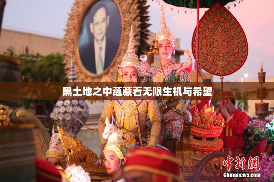 黑土地之中蕴藏着无限生机与希望