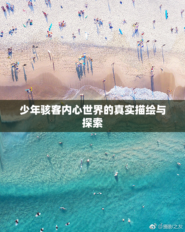 少年骇客内心世界的真实描绘与探索