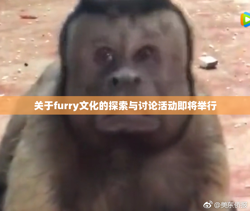关于furry文化的探索与讨论活动即将举行