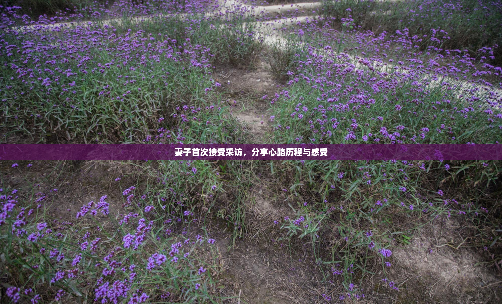 妻子首次接受采访，分享心路历程与感受