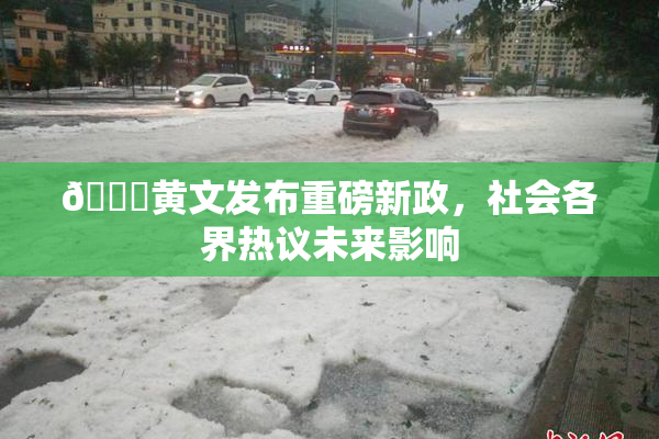 🔞黄文发布重磅新政，社会各界热议未来影响