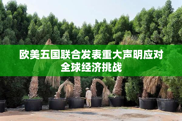 欧美五国联合发表重大声明应对全球经济挑战