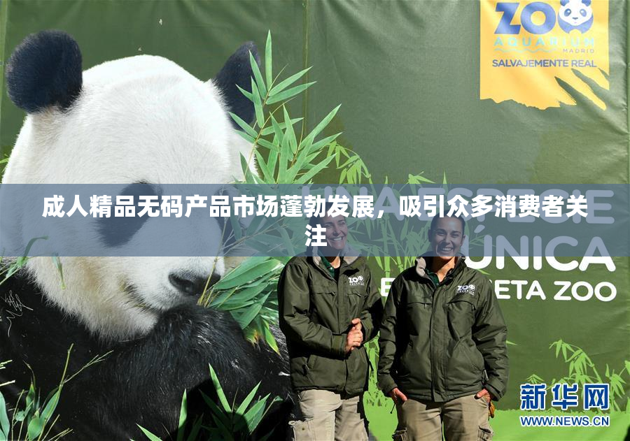 成人精品无码产品市场蓬勃发展，吸引众多消费者关注