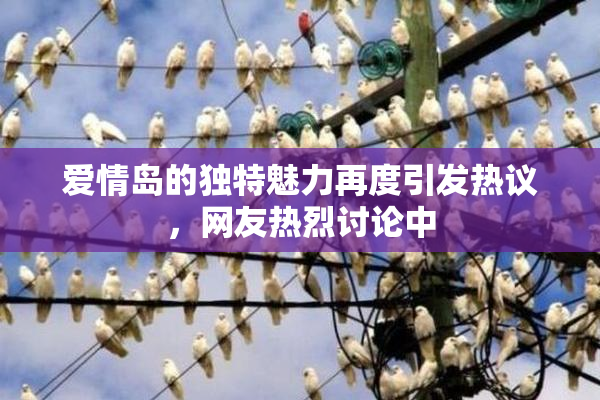 爱情岛的独特魅力再度引发热议，网友热烈讨论中