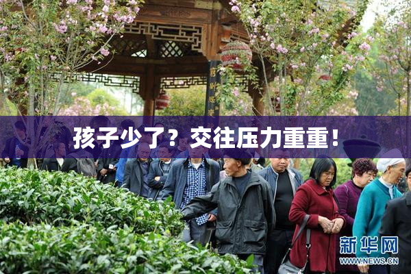 孩子少了？交往压力重重！