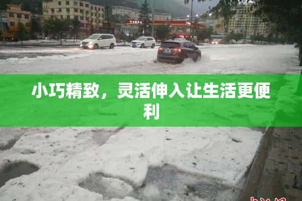 小巧精致，灵活伸入让生活更便利