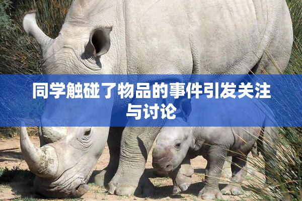 同学触碰了物品的事件引发关注与讨论