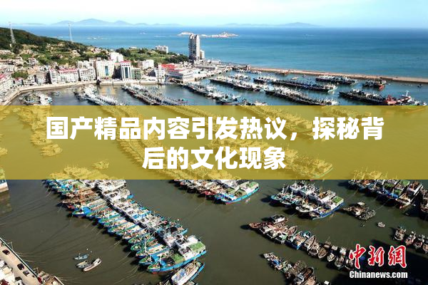 国产精品内容引发热议，探秘背后的文化现象
