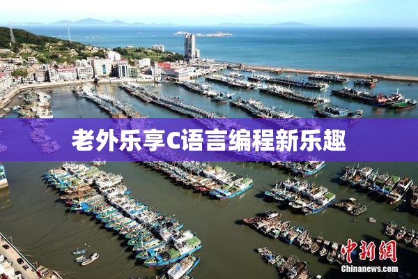 老外乐享C语言编程新乐趣