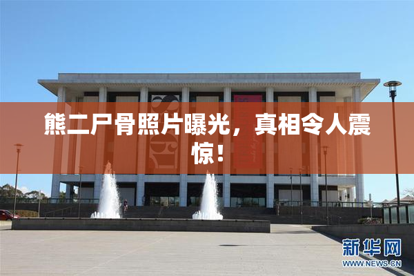 熊二尸骨照片曝光，真相令人震惊！