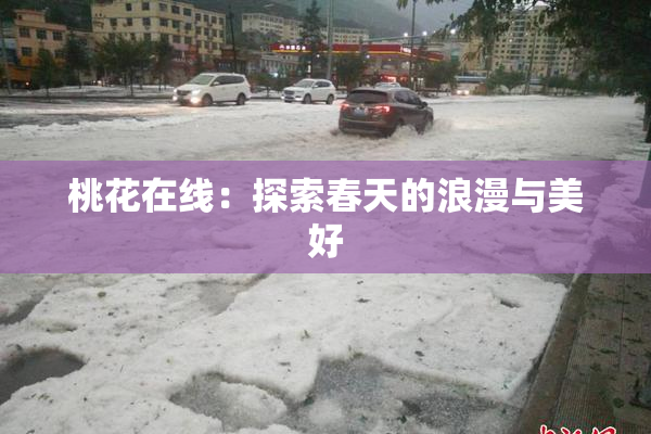 桃花在线：探索春天的浪漫与美好